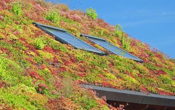North Kyme living roof systems
